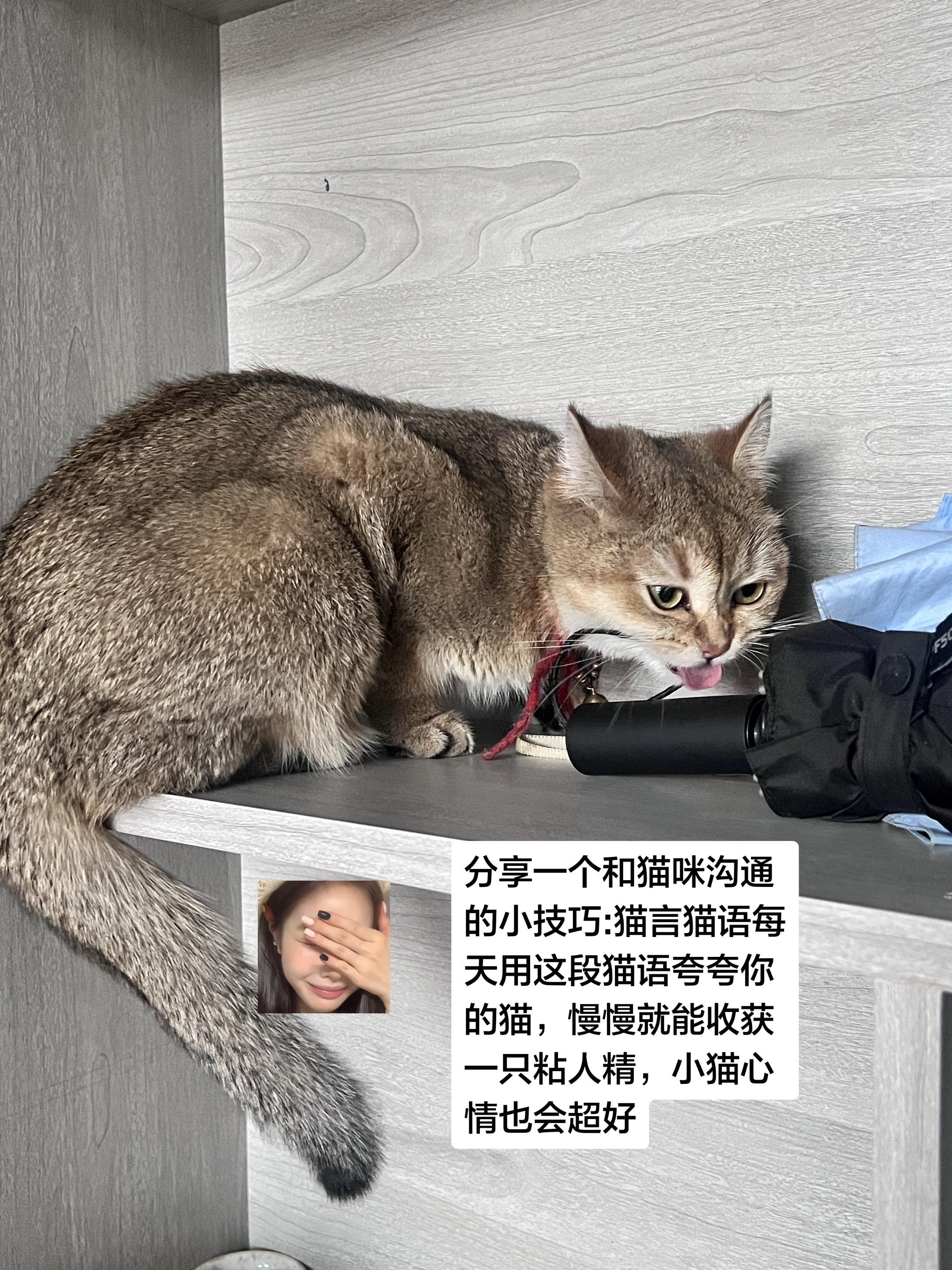 在夸就上天了