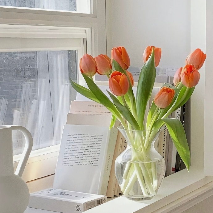 ☺︎ᯓແ🌷☘️“  快乐的时候，你听到的只是音乐，    难过的时候，你听懂了