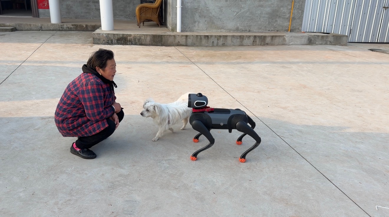 回乡见闻今年回四川老家的小村子，我原本以为，那里还是我记忆里的样子—灶台的烟、屋