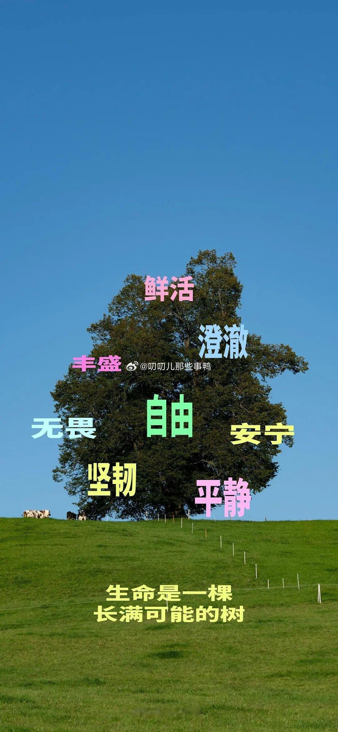 今日🈚投稿，大家早早早鸭～周末愉快
