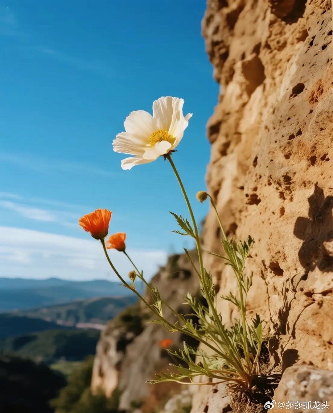 股票持续有大单买入，但股价不断下跌，主力是怎么做到的？牢记换手率达45%，看透主