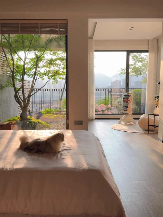 在卧室🌳我种了一棵树