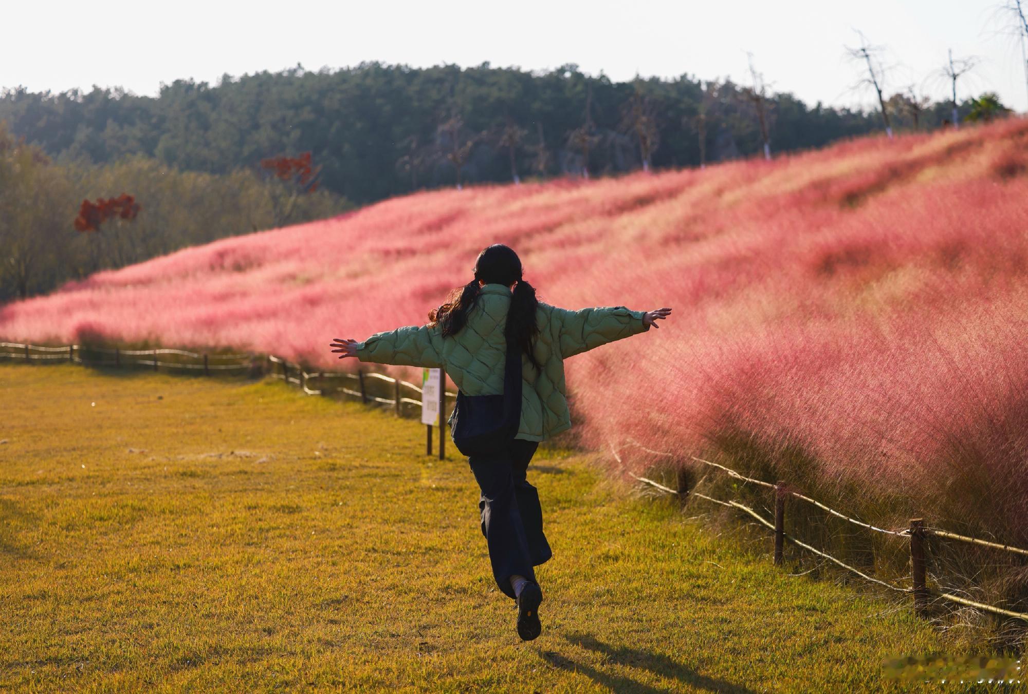 田曦薇发博分享秋游随拍，明媚又可爱的小田啊，好想一起去秋游呢