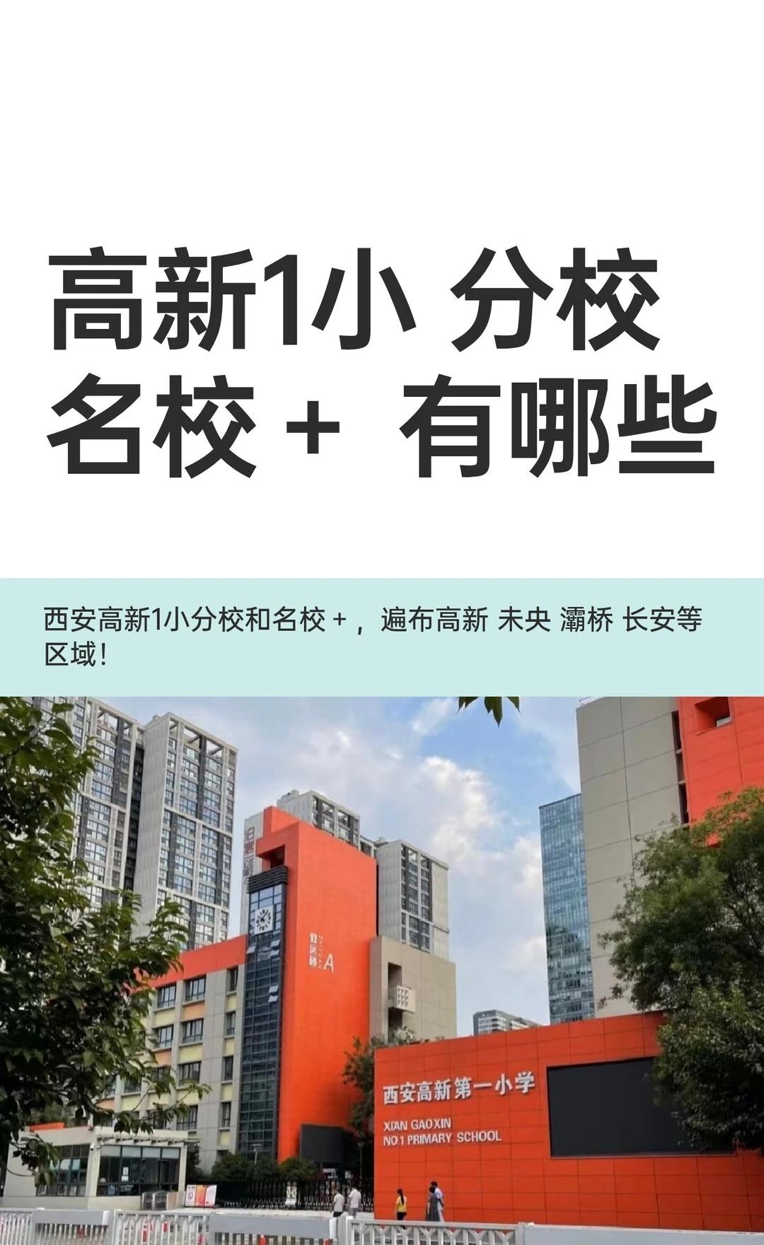 高新1小 分校名校＋ 有哪些
西安高新1小分校和名校＋
主要集中在高新区
未央 