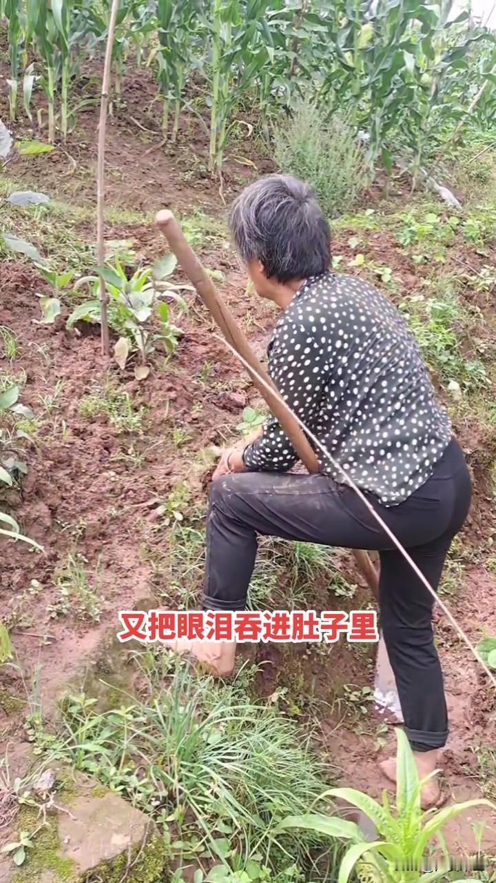 以后再也找不到像50，60，70后这么傻的女人了。

先说我母亲那代人，50后，