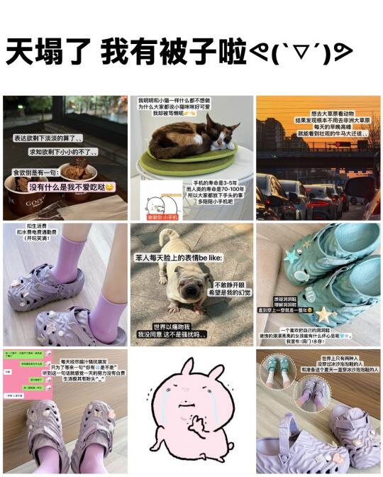 生活以痛吻我 我报之以梗