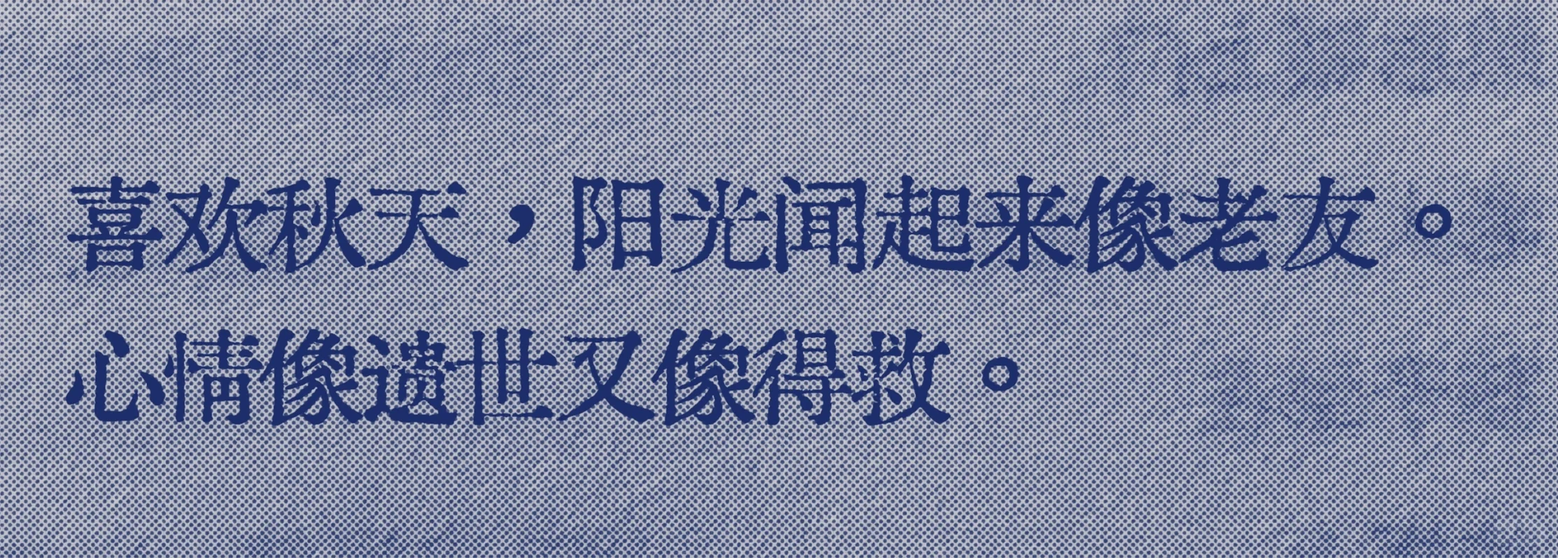 好爱这个“阳光闻起来像老友，孤独，又治愈”
