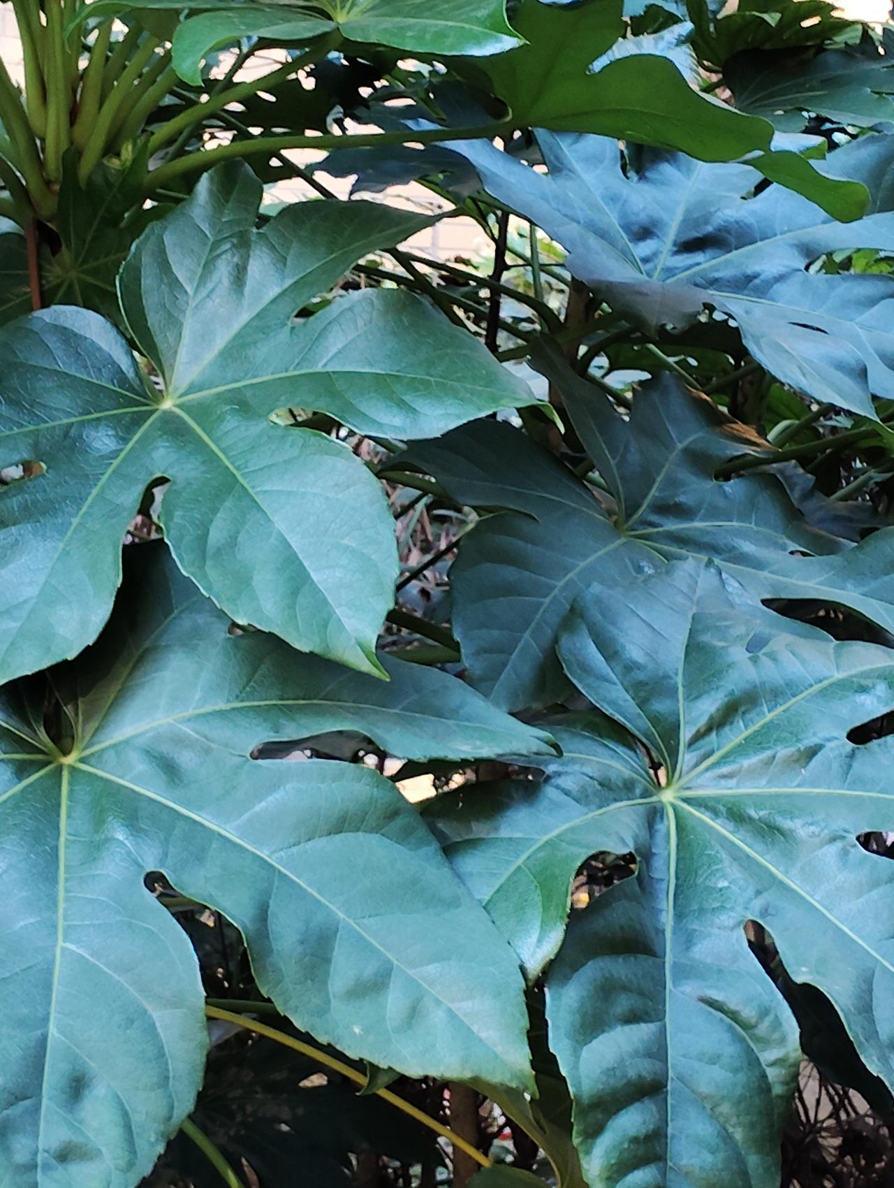 你努力工作挣钱是为了什么?钱是人生存的基础，如果连这个基本的东西都不能保证，那就