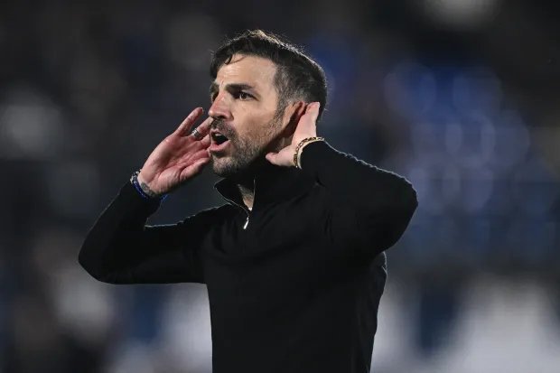 法布雷加斯：“我对这个项目非常投入。你永远不知道未来会怎样，但目前我认为我离开科