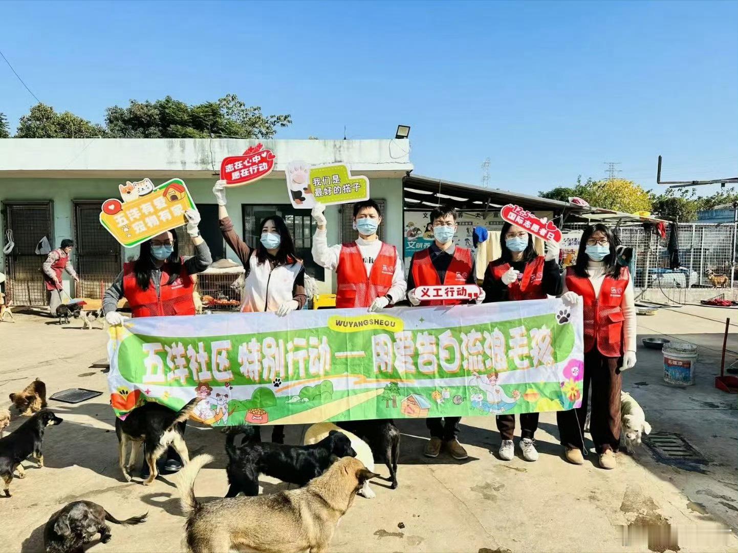 台州路桥志愿清扫传递爱宠温情台州路桥五洋社区超有爱！萌宠志愿服务队清扫犬只爱心驿