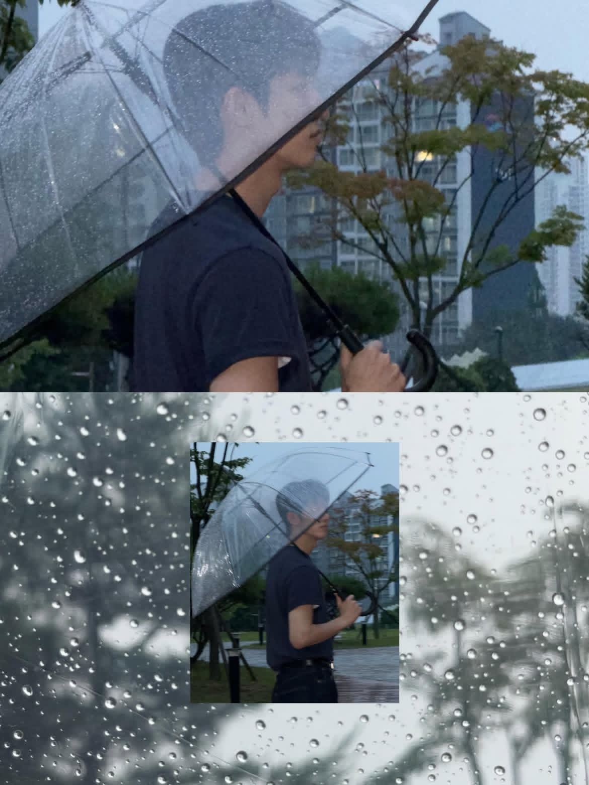 朴时宇 ☔️ 