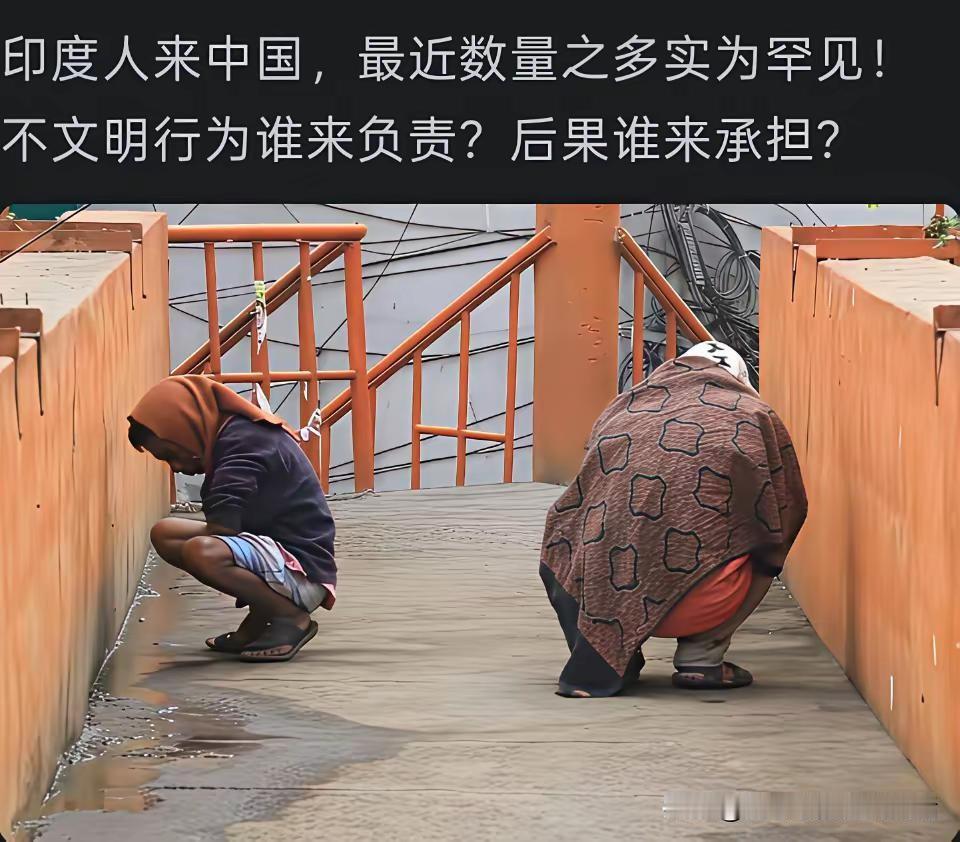 别扯什么“文化差异”当遮羞布了，公共场合随地大小便，真不要脸！

印度人这种行为