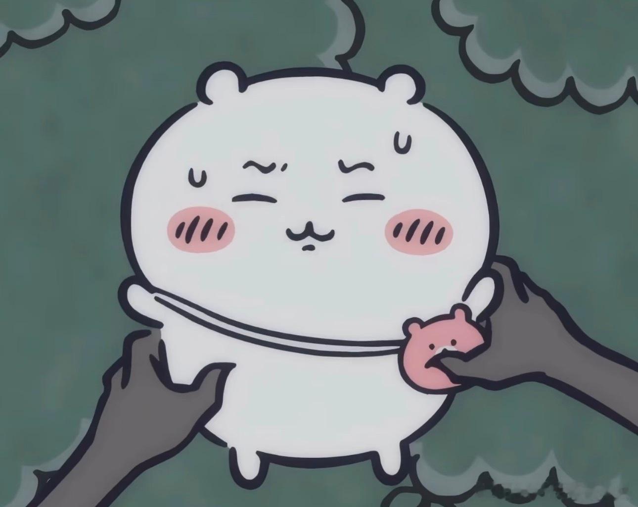 我的双手每天大概就是这样蹂躏着小吉伊。我的天呐好可怜啊一脸不情愿的但是你有什么办
