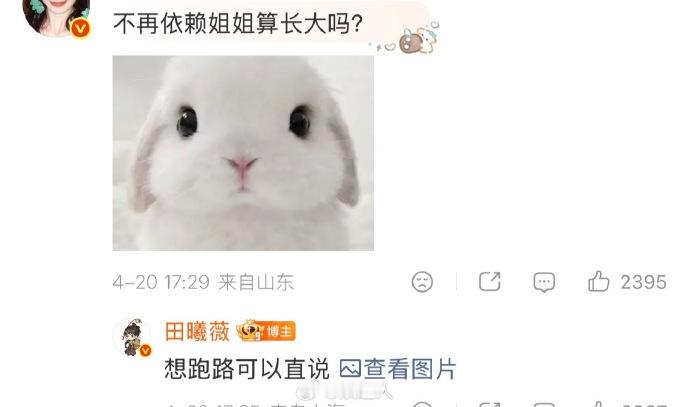 田曦薇 想跑路可以直说田曦薇 想跑路直说 粉丝问：“不依赖姐姐算长大吗？”小田：