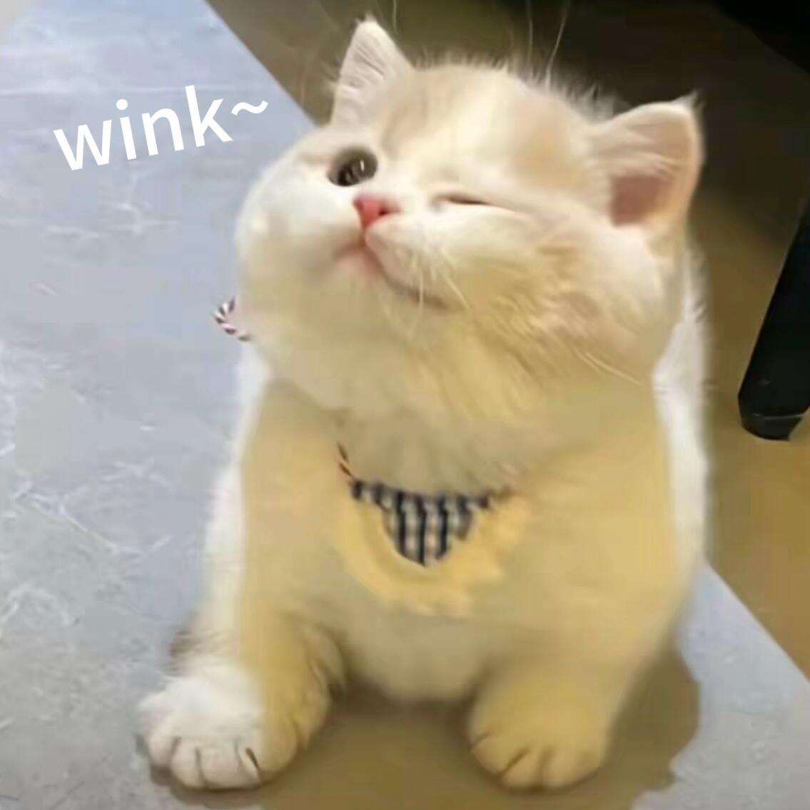 爱每一个帅哥美女🤤手捧82年的龙井🍵，优雅雨露均沾✨这位爱豆的舞台-绝美！?