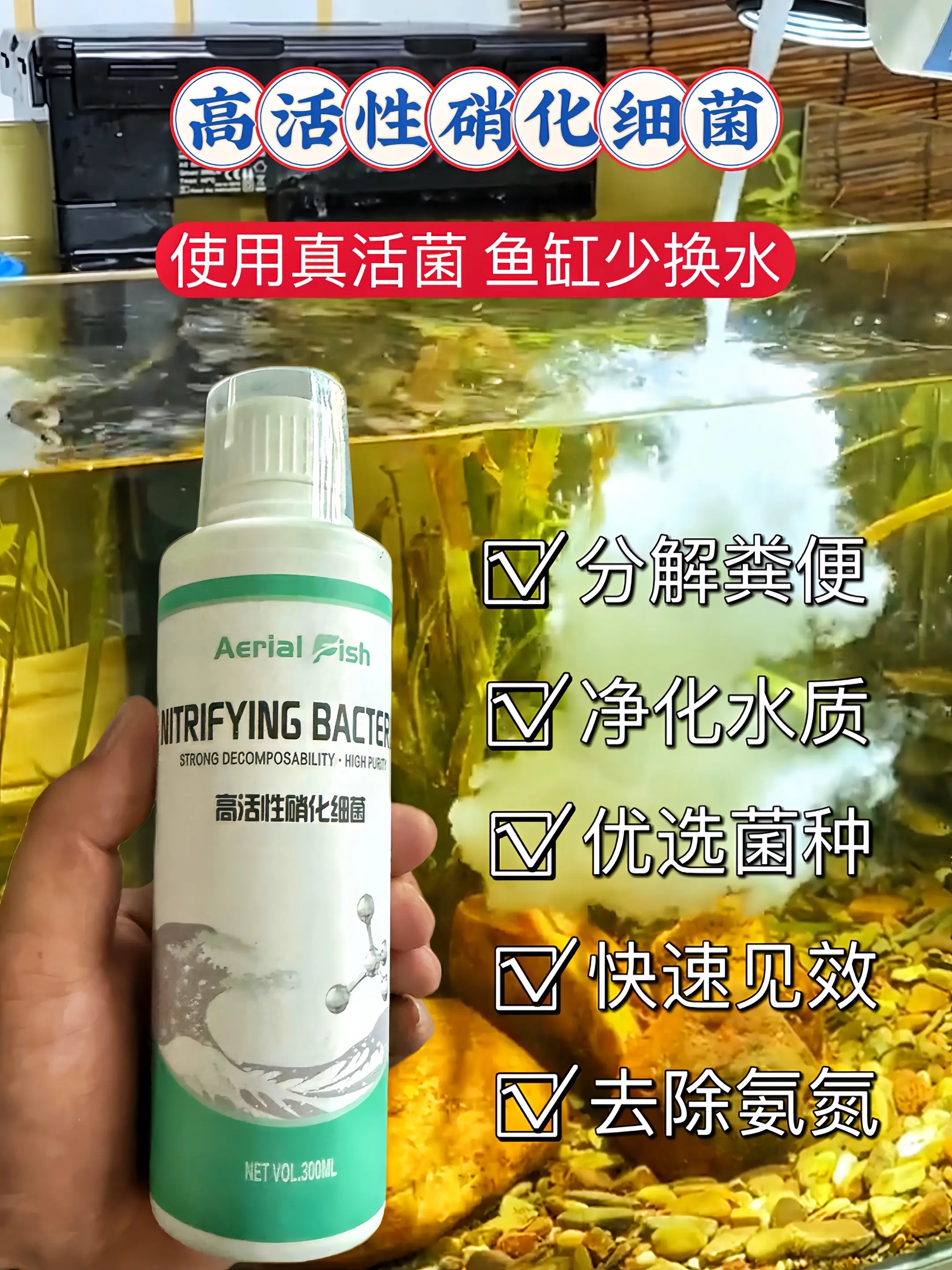 快速启动，高效净化：高活性硝化细菌，24小时极速激活，3天建立稳定硝化...