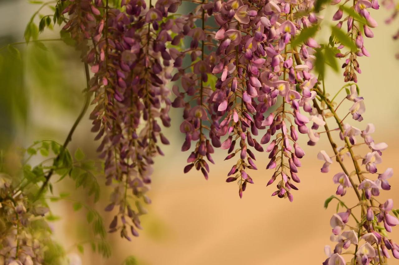 你不必成为别人，你就是你，独一无二的你
 
不知道你有没有过这样的时刻：刷着手机