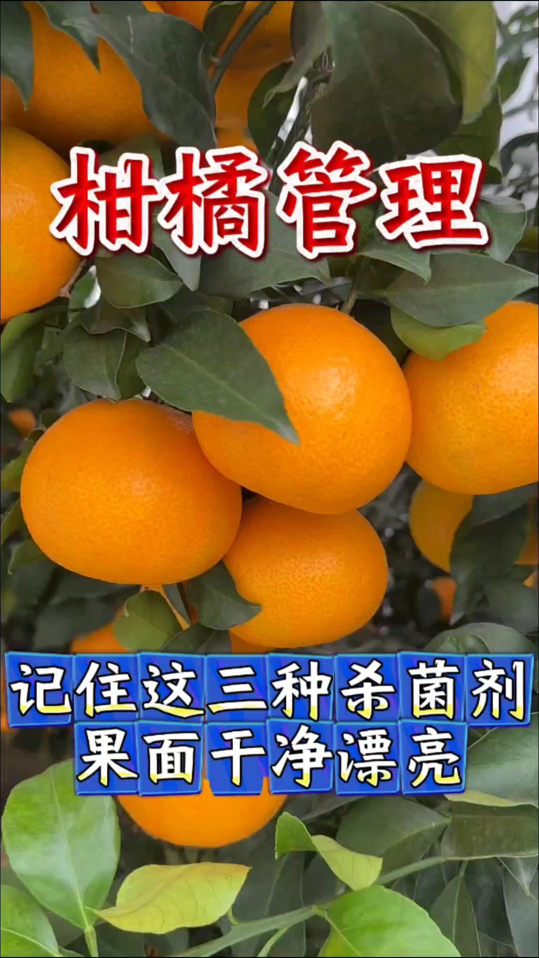 1️⃣克菌丹：号称水果界的“美容师”，不仅能够预防果锈、果斑，还能够保护果面蜡质