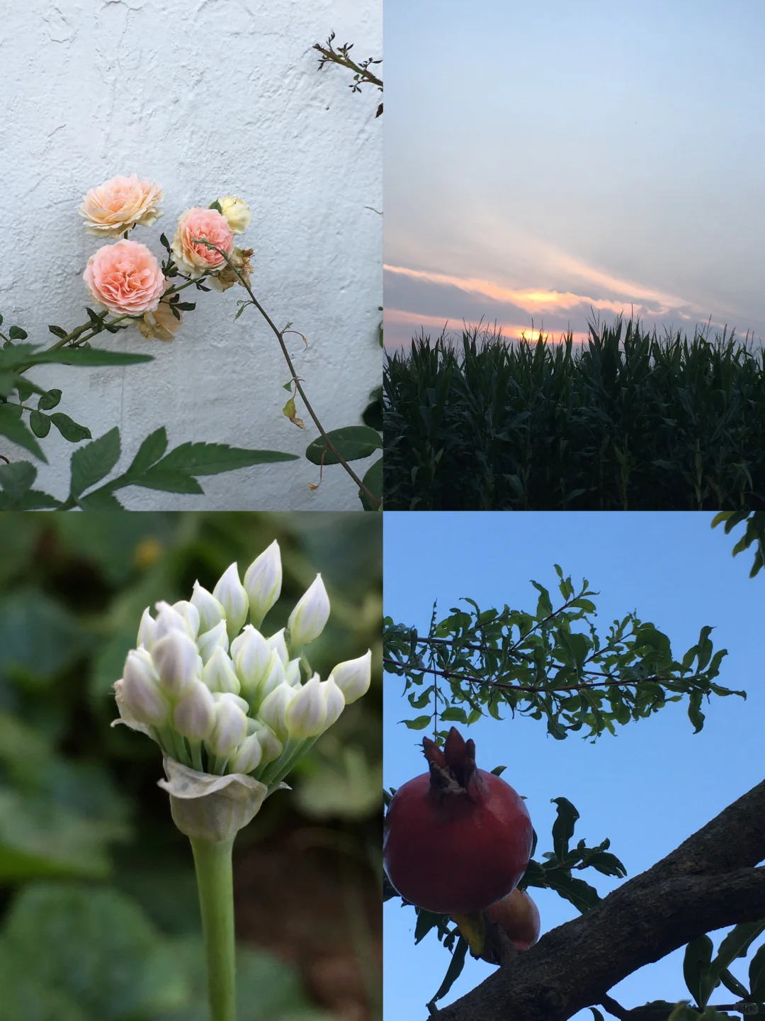 曾经因为修心，差点儿把我老公给休了。