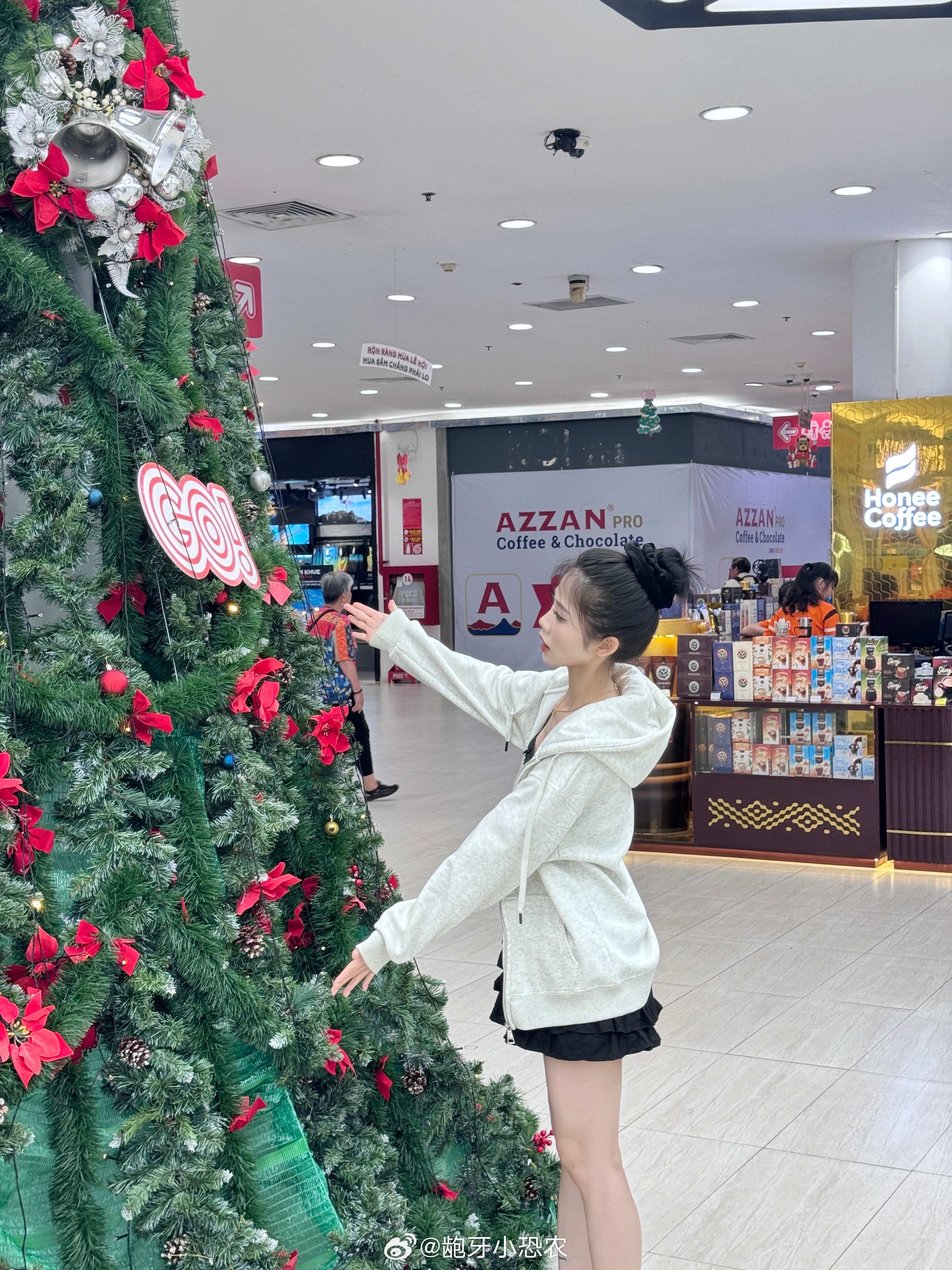 🌴 热带圣诞 🎄🪄 ​​​