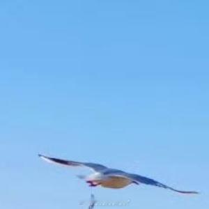 早安心语 “晨光点亮的不只是天空，还有对生活的热爱。早安，今天也要全力以赴！” 