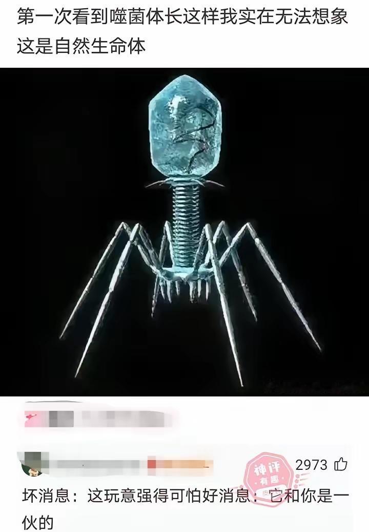 确实，第一次看的时候不相信这个是自然生命体[笑哭]