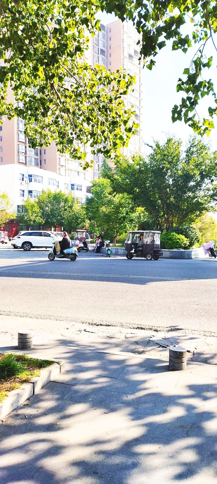 今天上午出去散步，看到沈丘大闸北头街道美景，拿起手机随手拍了几张照片，与大家共同