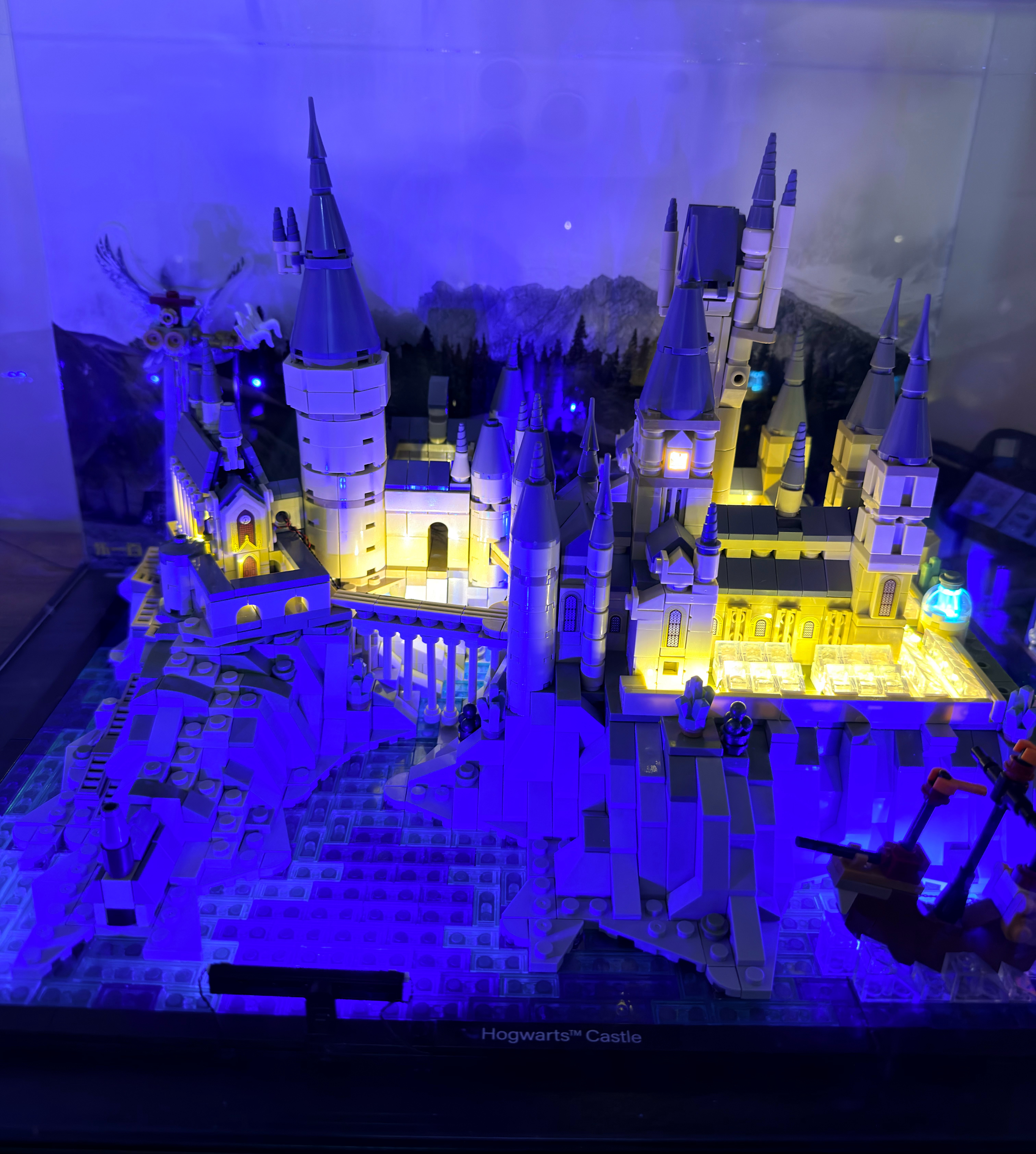 乐高霍格沃茨大小城堡的灯光都装好了。你们更喜欢哪个？（大城堡的展示盒晚点再放上）