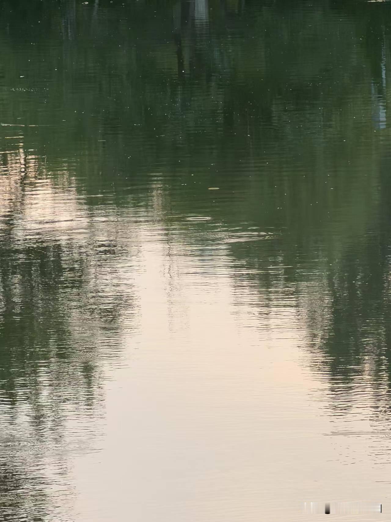 故乡（新韵）

石拱桥边望旧村，河流枯瘦岸芦深。
云犁野陌依依影，犬吠篱墙寂寂门