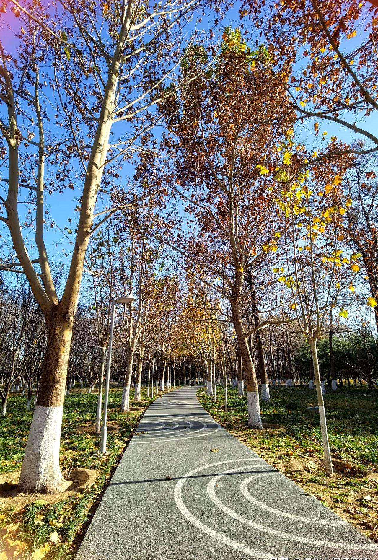 晨跑的风，裹着霜的清冽；
 

他跑完步就任由那股酣畅劲儿顺着毛孔往外冒，让爬上