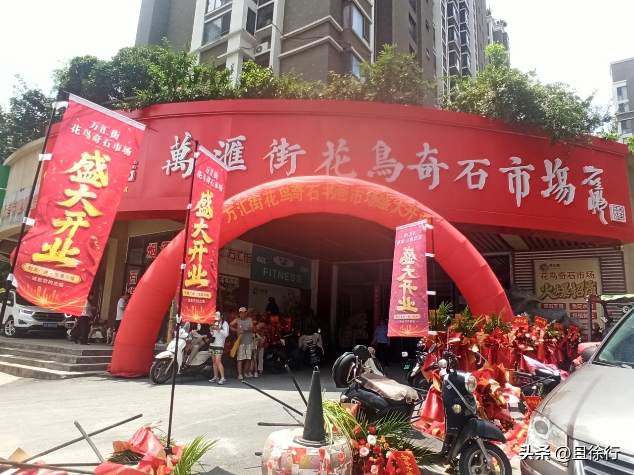 徐州又多了个花鸟市场。万汇街花鸟奇石市场今日开业迎宾，这是徐州又一大型花鸟市场，