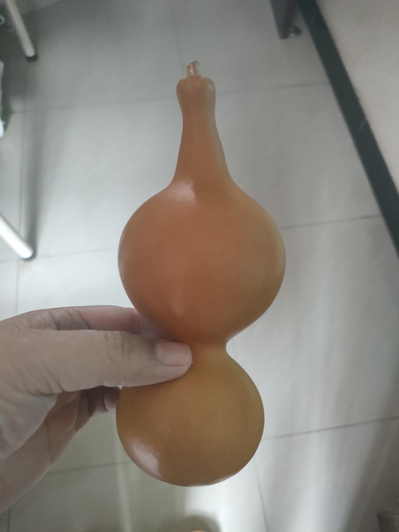 家人们快来看！这个葫芦长得也太有特点了吧！
 
你瞅瞅它这造型，上下两个圆滚滚的