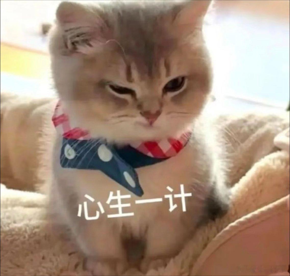 表情包分享。 