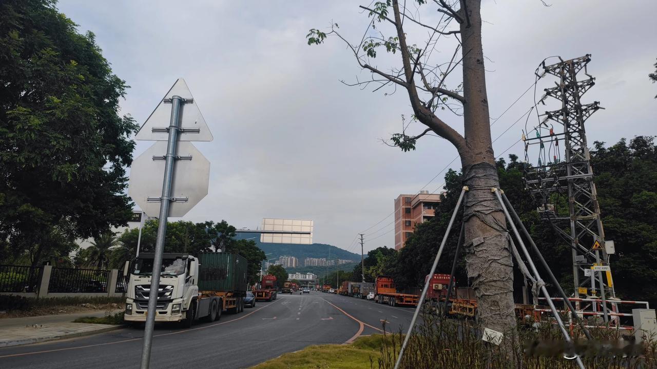 一条修到最后收尾烂尾的路，地上还是画施工线，货车乱停。更加重要的是这还是个学校路