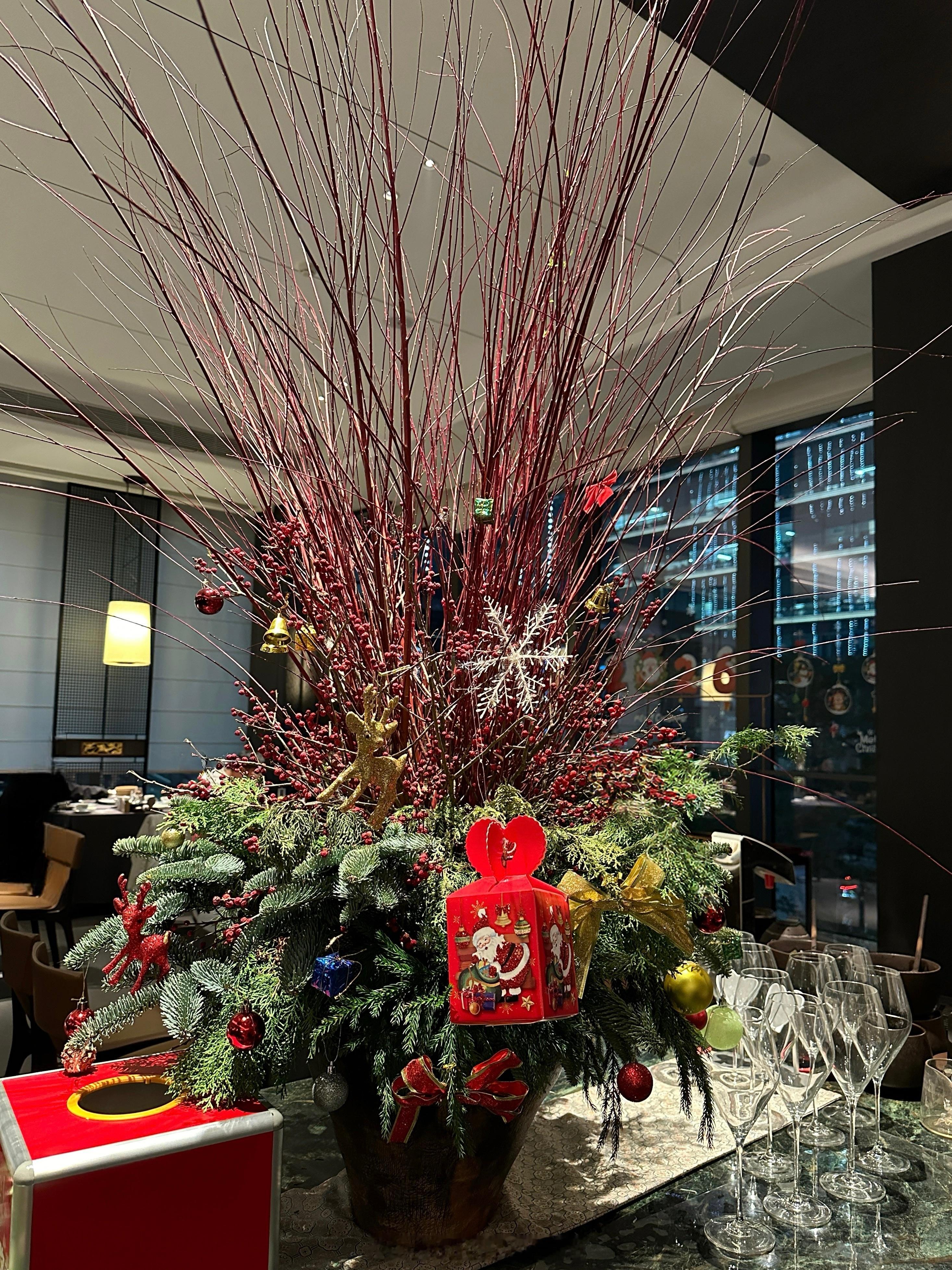 🫧💗 ᑋᵉᑊᑊᵒ ᵕ̈ ²⁰²⁶  🫶🏻. ˚◞♡ 