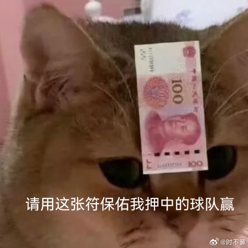我们为什么如此热爱世界杯因为这里有永不言弃的拼搏精神。不同国度的球员同台竞技，汗
