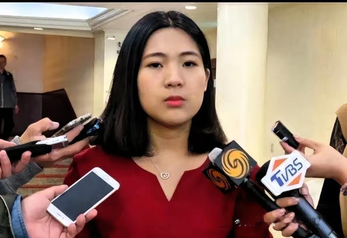 徐巧芯这波发言太戳人！直言吴石将军不是“叛徒”，而是为民族理想与中共合作的真英雄