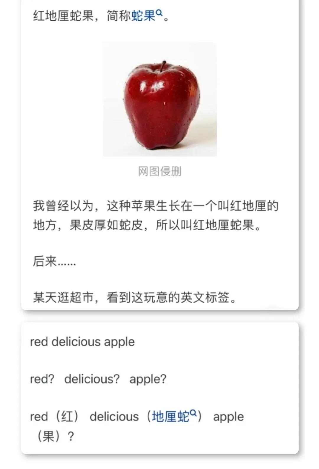 网友：汉语里有哪些意想不到的外来词？#绝了这翻译#