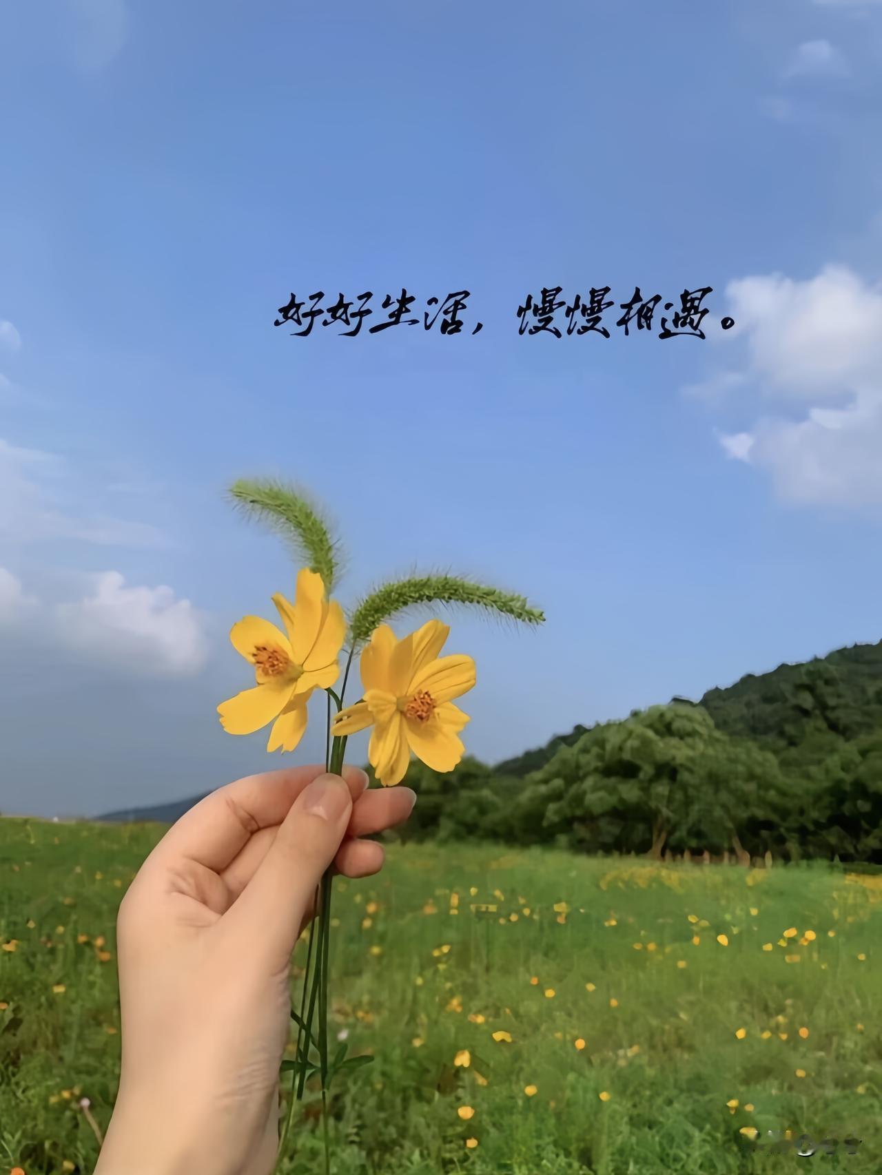 人这一辈子
有人说：
哭着笑着，
都是一辈子，
人生何必太多烦心事，
钱多钱少，