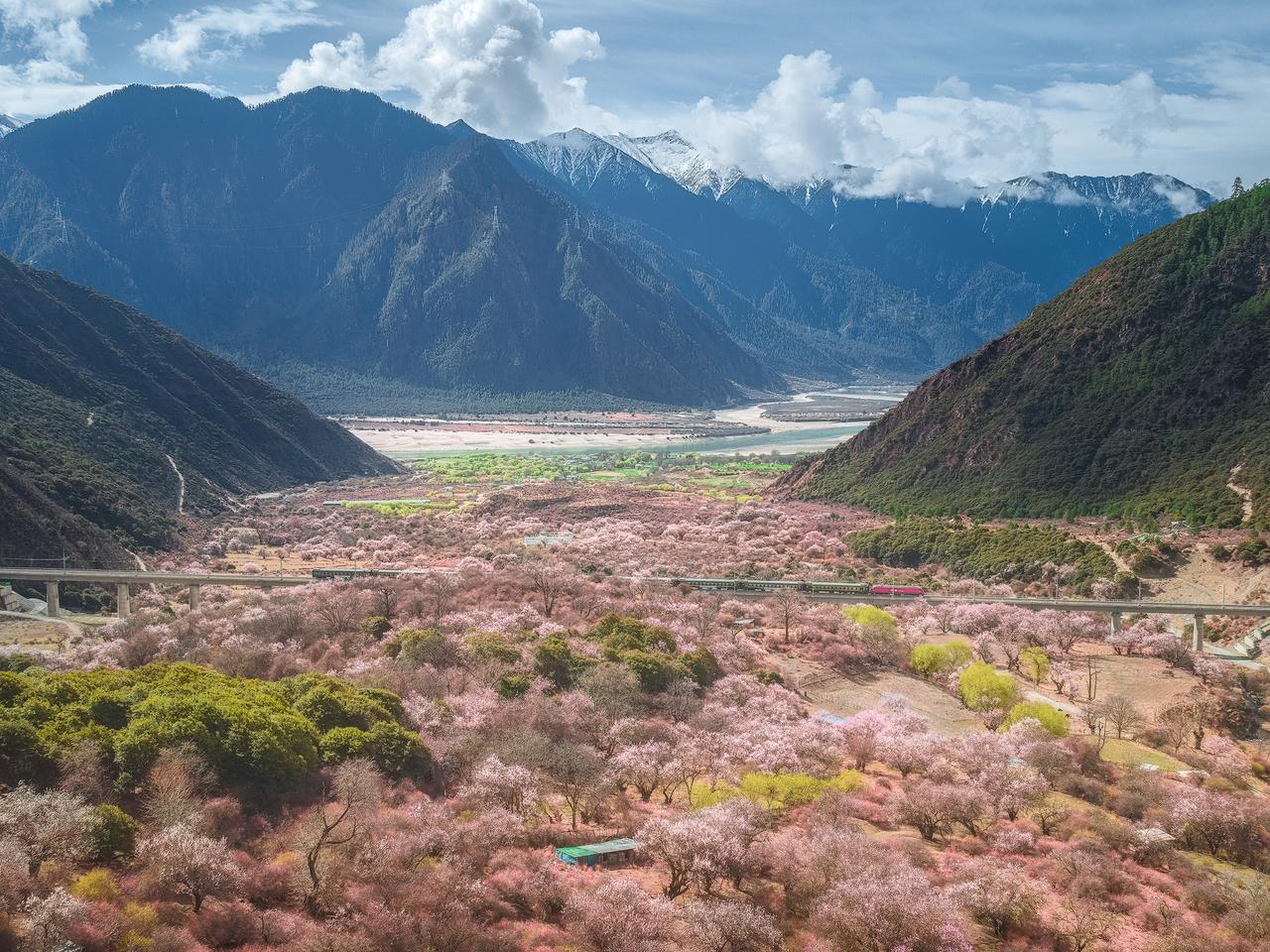 穿越雅鲁藏布江畔桃花林的绿皮火车。
相比之前版本后期重新裁剪了一下，保留了前方的