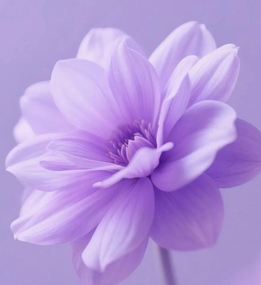 看透人性，
看清人后，
只会做两件事。
一是远离人，
远离熟悉的，
远离不熟悉的