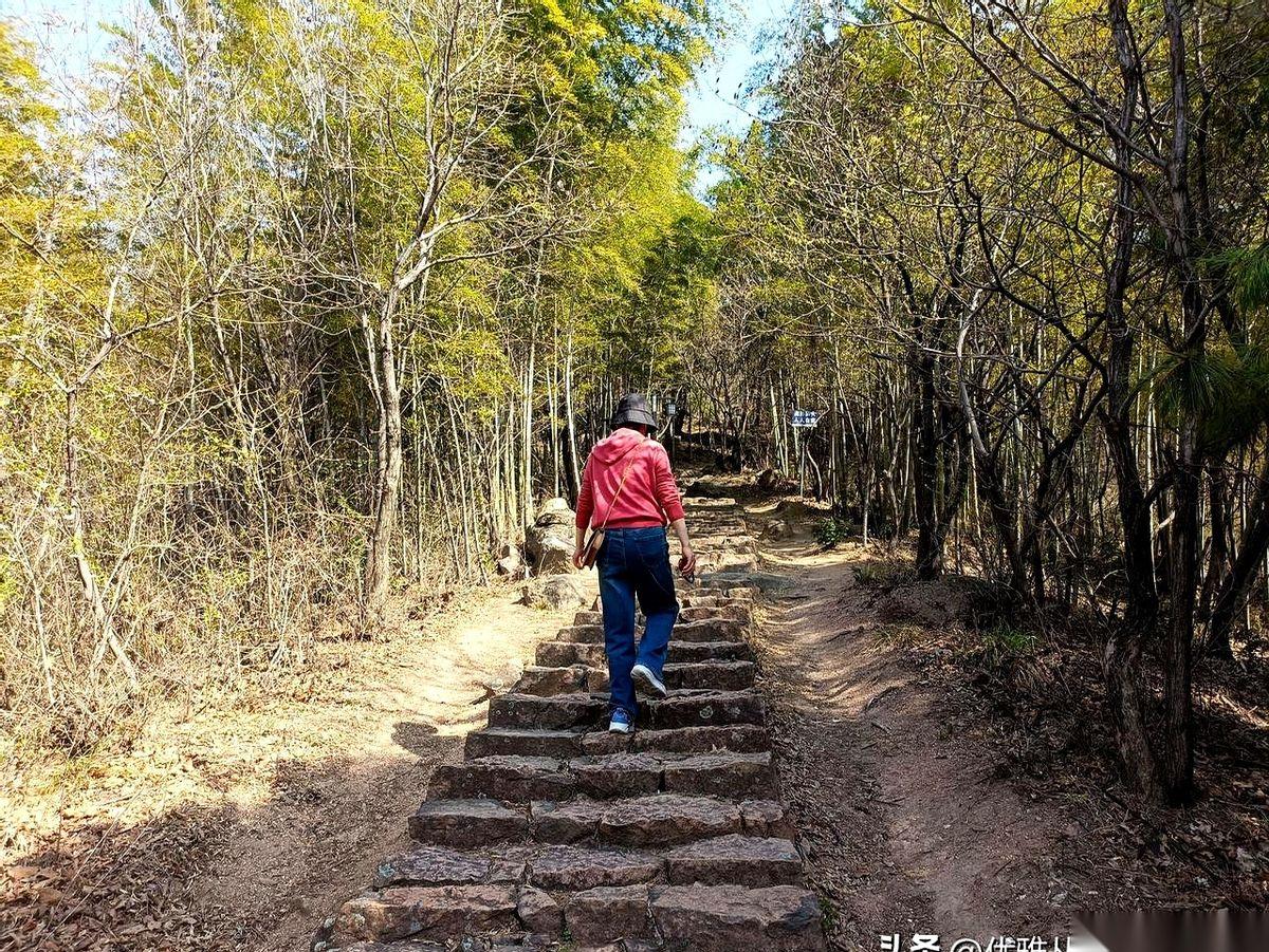 朋友圈不知道从哪天起，就这么安安静静地“死”了。
你不发，我也不发，曾经最爱晒合