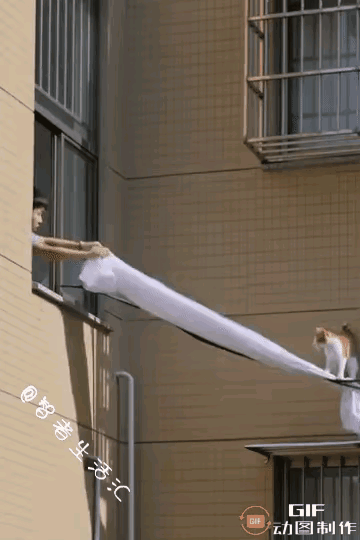 这个孩子值得点赞，能够想出这样的办法来救出这个小猫，说明这个孩子非常聪明，也非常