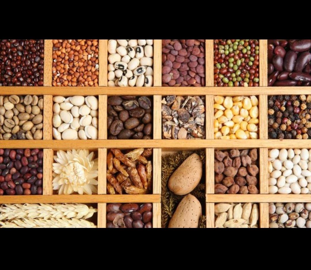 盘点十大药食同源的本草【#国医的精诚力量#】药食同源是指许多食物可作为药物使用，