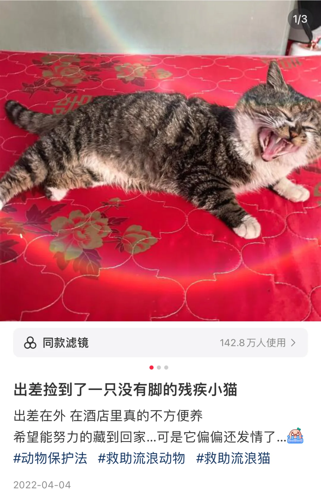 翻到了捡小抓时发的笔记