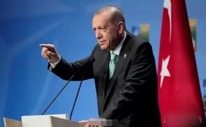 埃尔多安放狠话要打以色列，内塔尼亚胡直接掀桌子！估计跟村妇骂街差不多，打不起来！