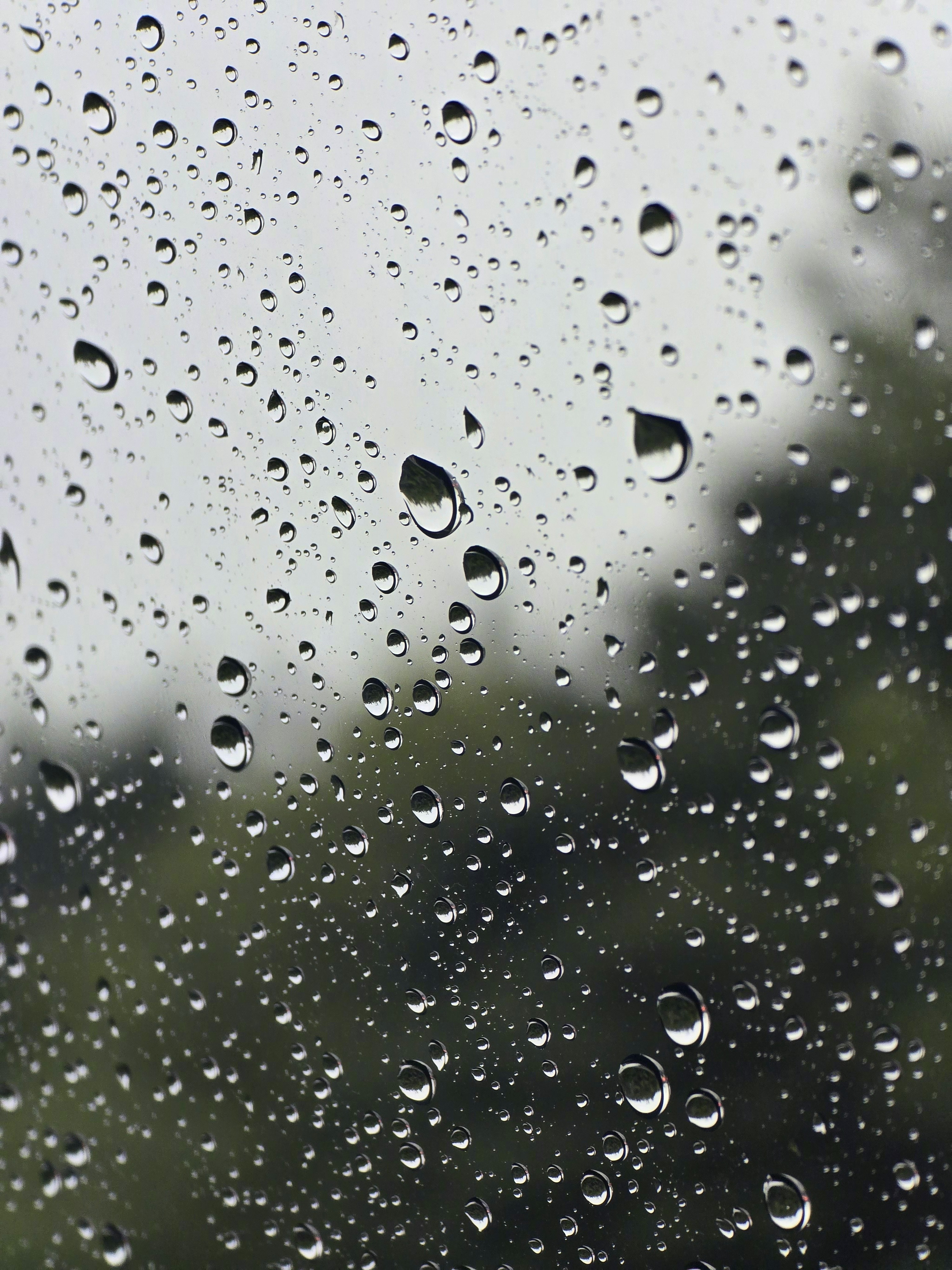 一回来就下雨…… 有点怀念西班牙的阳光了！ 