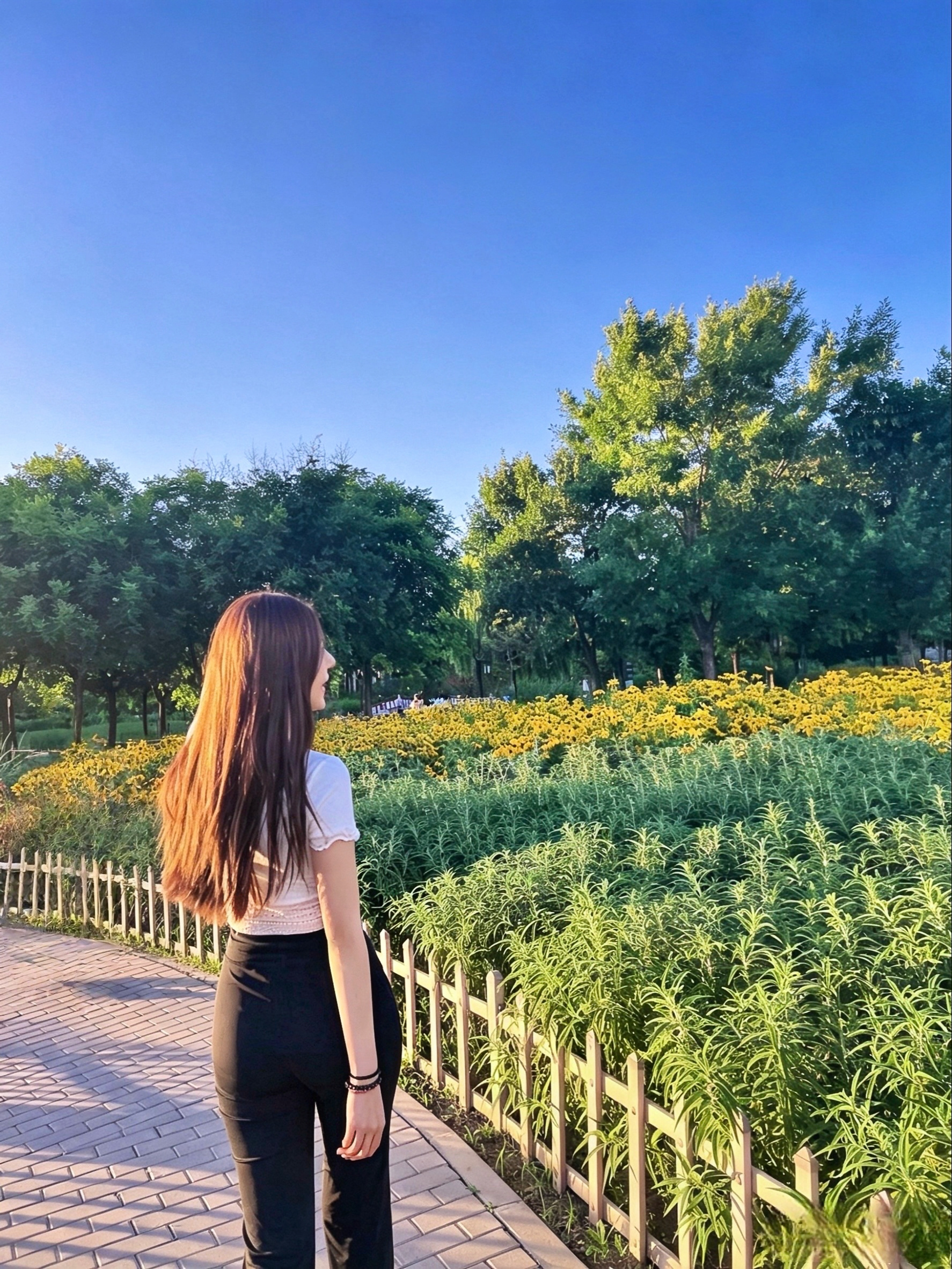 是盛夏的序章，也是万物生长的狂欢☁️🌿 北京