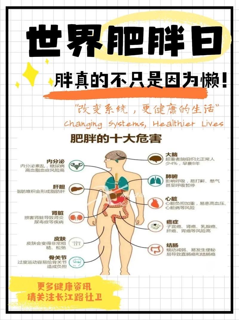 扎心数据曝光！我国超半数成年人超重肥胖，背后真相戳中无数成年人的无奈

最新权威