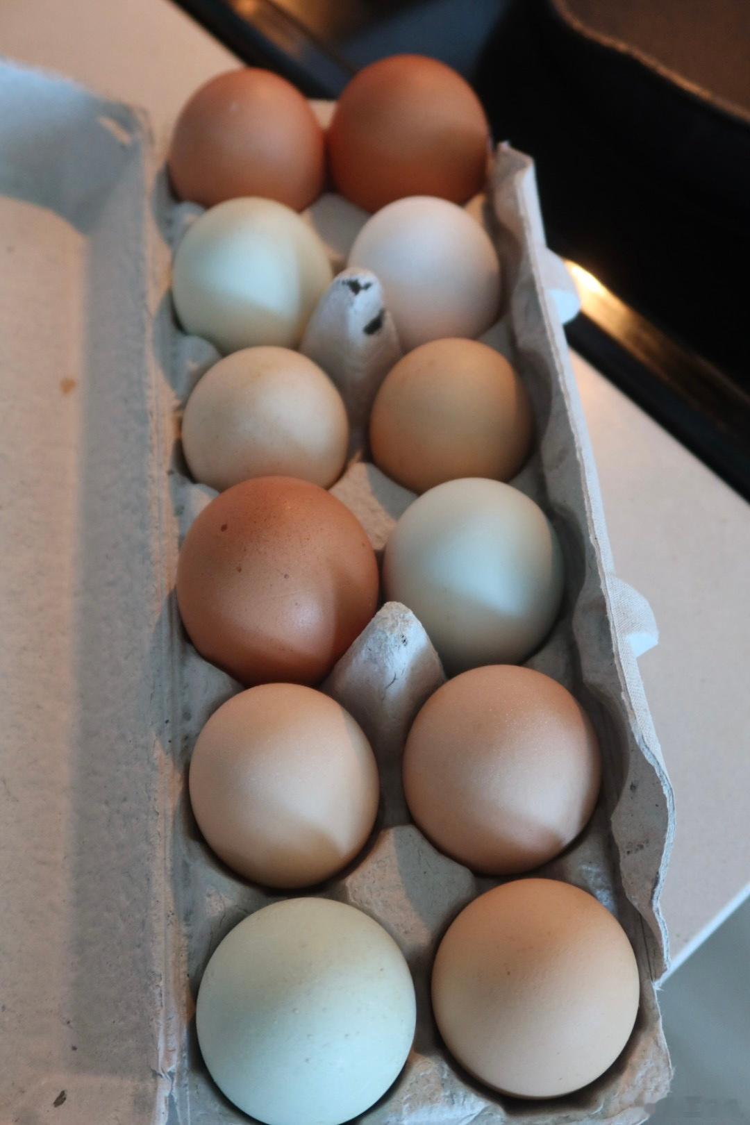 好好吃饭day161✅迷上了去农场买菜早饭：煎鸡蛋🥚（农场买的无大豆无玉米饲料